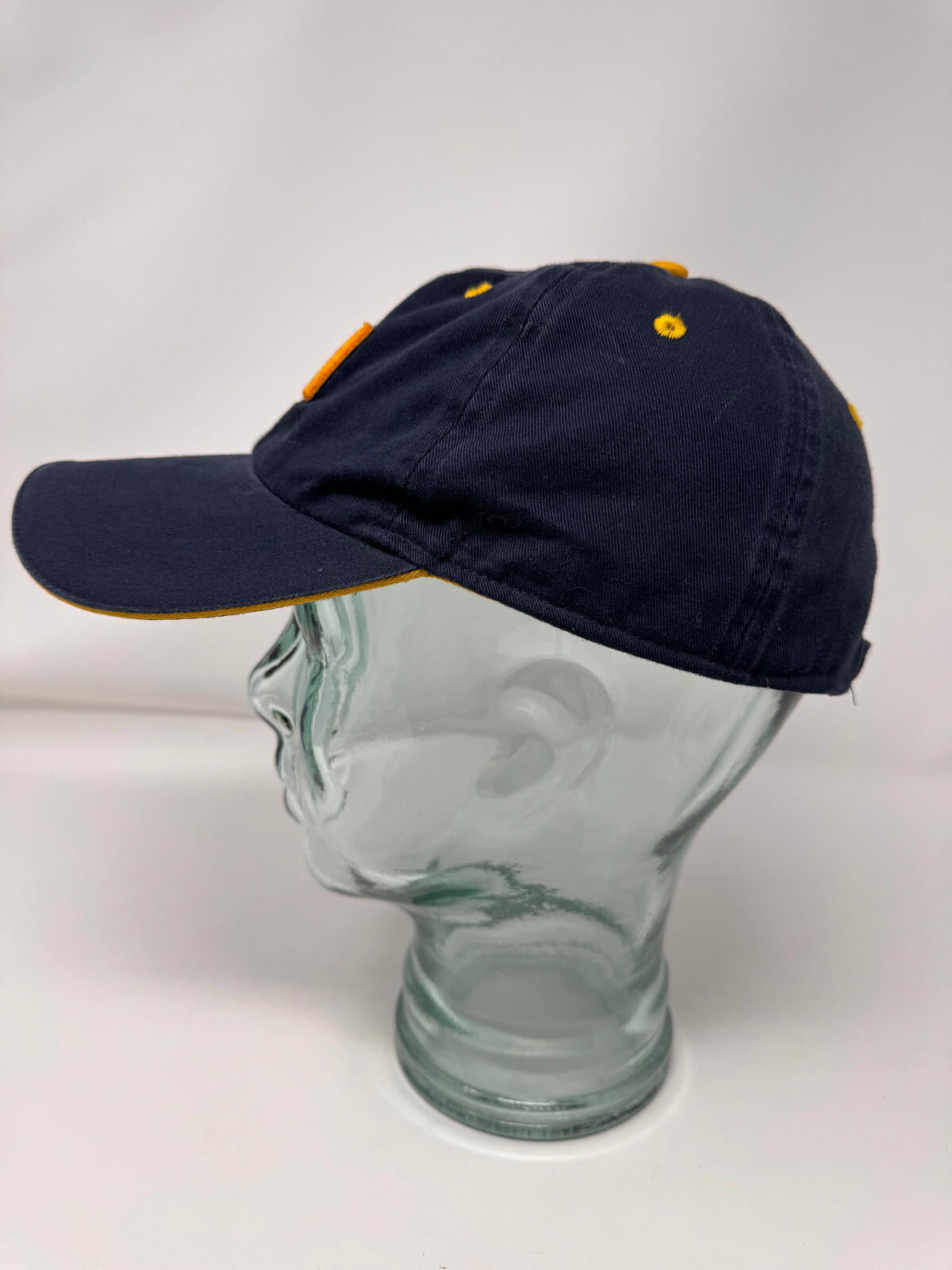 The Greenbrier Classic 2010 Blue and Gold Hat Ahead Golf PGA Tour RARE Fast Ship