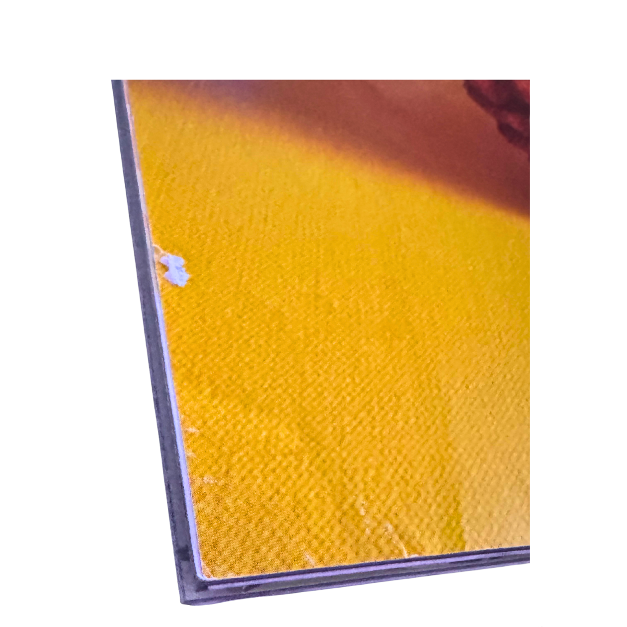 Nintendo Power Magazine 2004 Vol. 176 With Poster (The Sims Cover) Free Ship